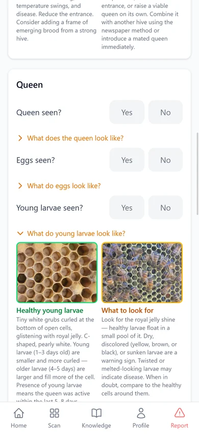 Tooltips and illustrated cues for new beekeepers