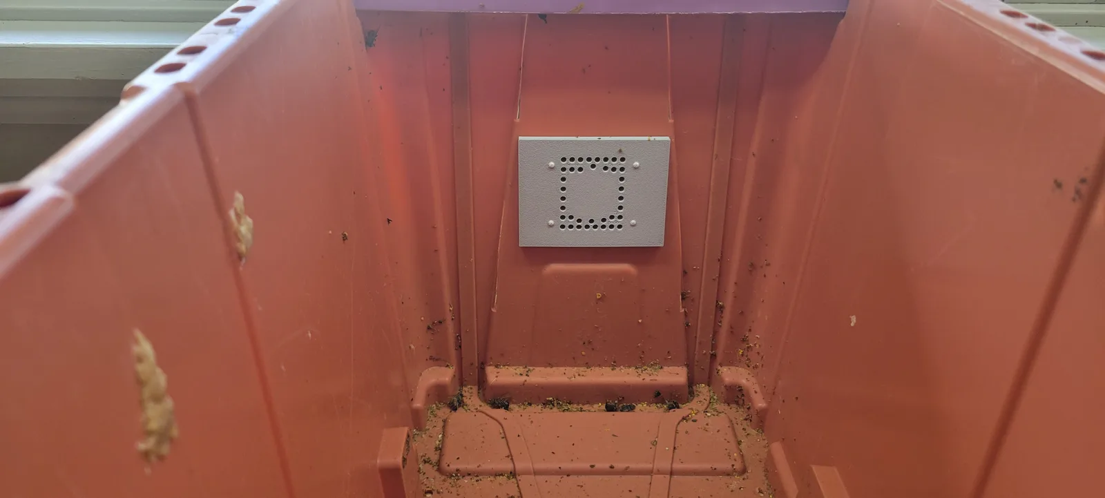 The inside face of the rear plug plate seen from within the nuc box.